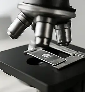 Histopathology training 