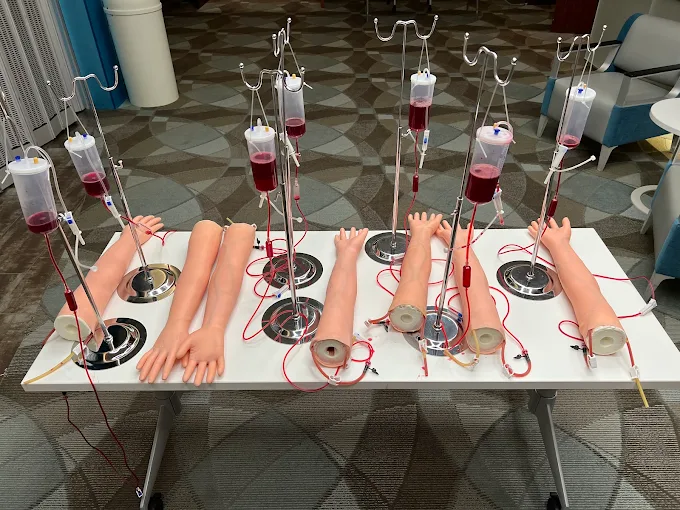 Phlebotomy, I.V. training